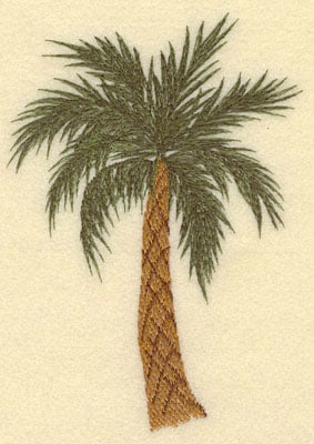 Palmページ AF5306.png.png