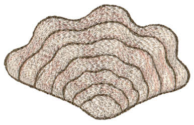 Embroidery Design: Seashell 9<br>3.58" x 2.19"