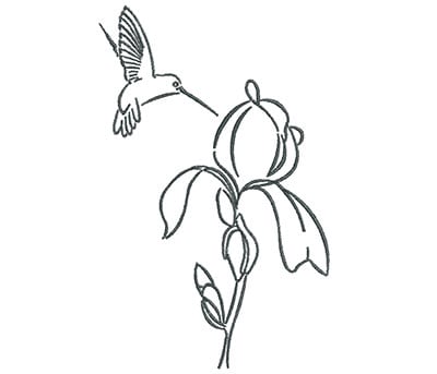 Embroidery Design: Hummingbird with Rose Flower Outline<br> 4.51w X 7.13h | Embroidery Legacy Embroidery Design: Hummingbird with Rose Flower Outline<br> 4.51w X 7.13h