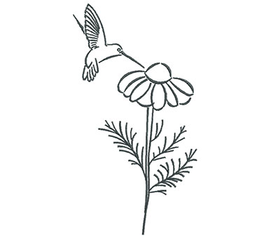 Embroidery Design: Hummingbird Eating Flower Outline<br> 3.88w X 7.20h