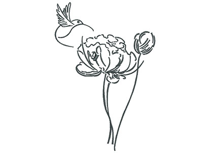 Embroidery Design: Hummingbird And Wild Flower Outline<br> 4.79w X 7.12h