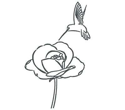 Embroidery Design: Hummingbird With Rose Outline<br> 4.37w X 7.10h