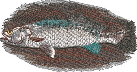 Embroidery Design: Speckled Trout 2 Sizes