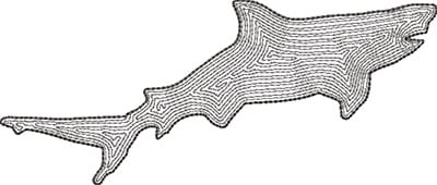 Embroidery Design: Shark 1 Backstitch Outline 6.81w X 2.90h