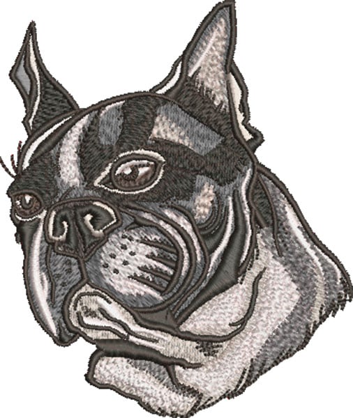 K-7908BostonTerrierHead_L | Embroidery Legacy Boston Terrier head embroidery design