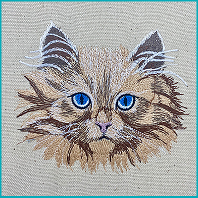 cats category icon