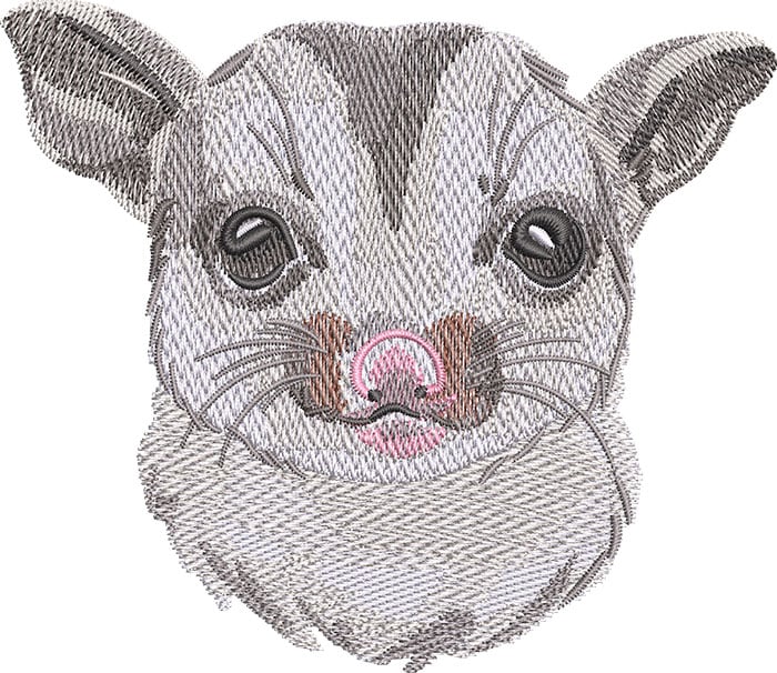 AP-Animals-17_L | Embroidery Legacy Outback phalangerifomes embroidery design
