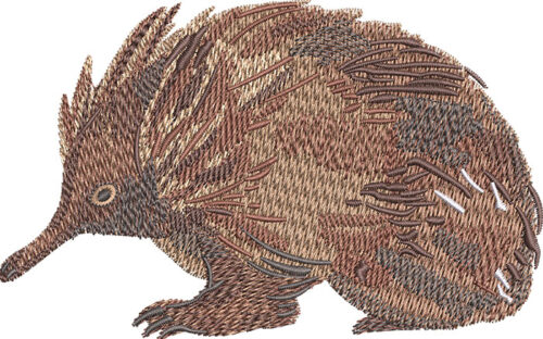 Embroidery Design: Outback Echidna 3 sizes