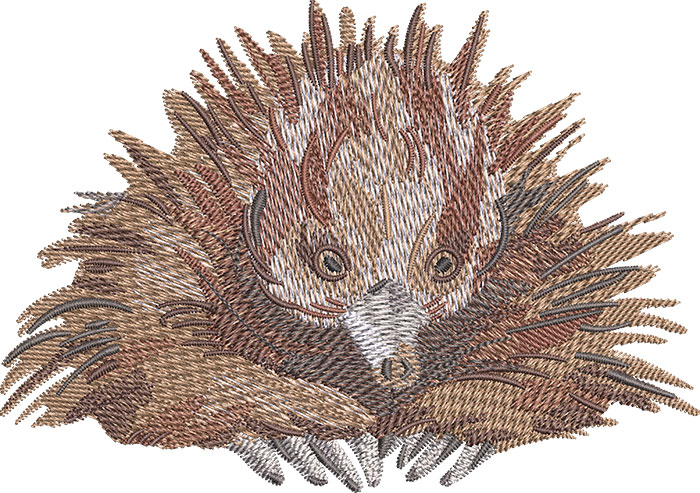 AP-Animals-19_L | Embroidery Legacy outback echidna sitting embroidery design