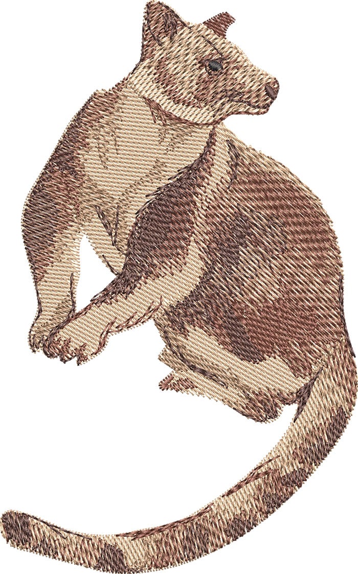 AP-Animals-4_L | Embroidery Legacy tree kangaroo embroidery design