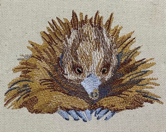 AP-Animals19 | Embroidery Legacy Outback echidna