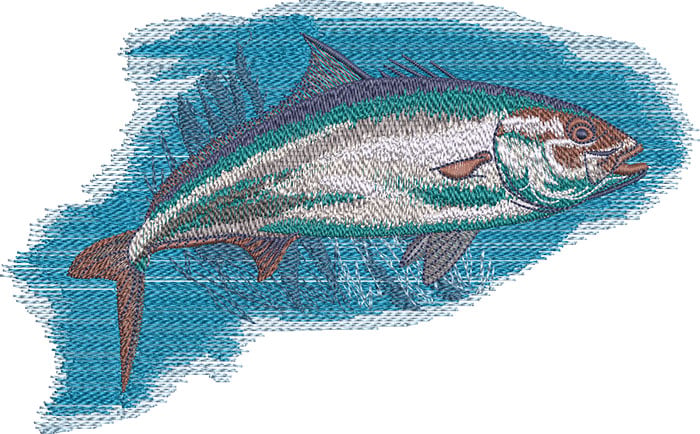K-8075Amberjack_L | Embroidery Legacy amberjack embroidery design