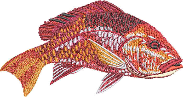 B-0909RedSnapper_L | Embroidery Legacy red snapper embroidery design