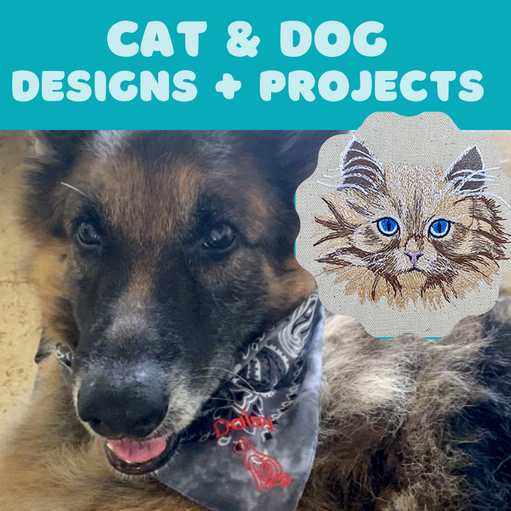 cat and dog blog
