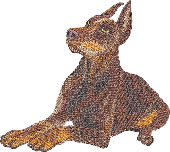 AD-Dobermann-Dog | Embroidery Legacy Doberman Dog Embroidery Design