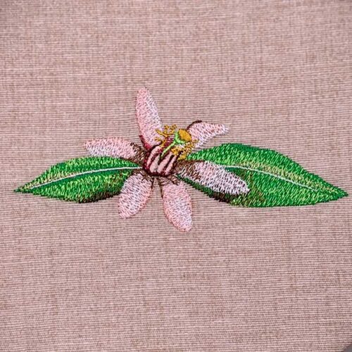 Lemon blossom embroidery design
