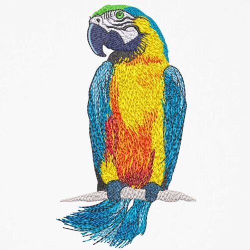parrot in clouds embroidery design