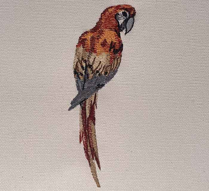 El-BOP_18 | Embroidery Legacy Bird of Paradise 18 embroidery design