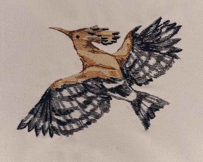 El-BOP_26 | Embroidery Legacy Bird of Paradise 26 embroidery design