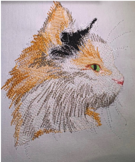 cat running stitch