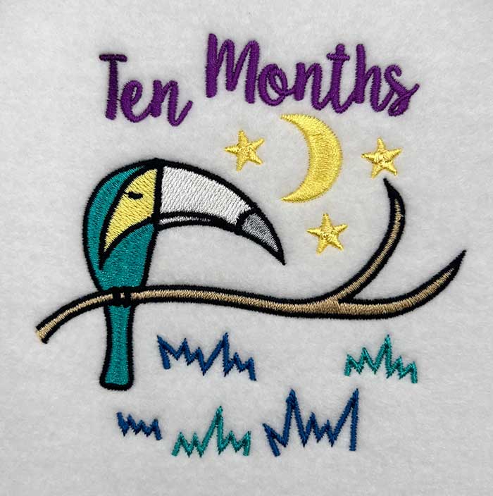 Milestones_10month | Embroidery Legacy milestones 10 months embroidery designs