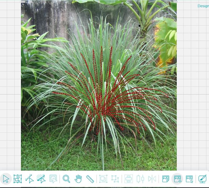 nature blog