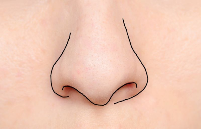 nose outline doodler