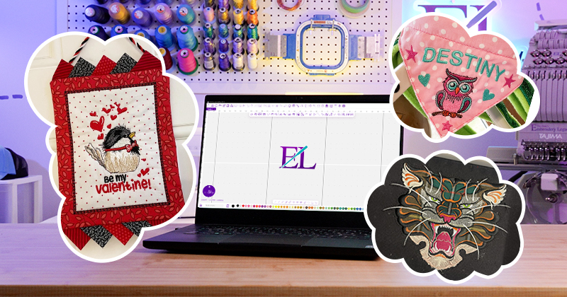 software eld examples