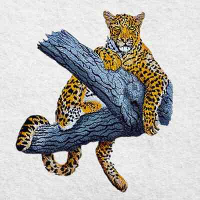 Animal