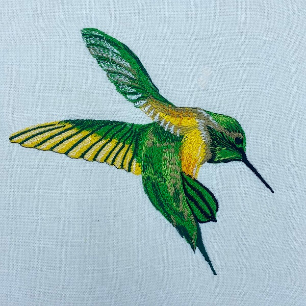 Free Hummingbird