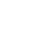Shuttle
