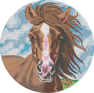 Chestnut Mare L