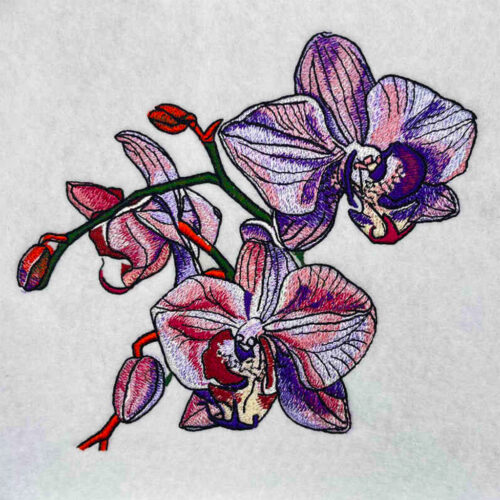 EL Orchid 2 embroidery design