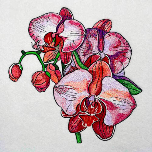 EL Orchid 4 embroidery design