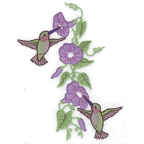 Hummingbirds bundle