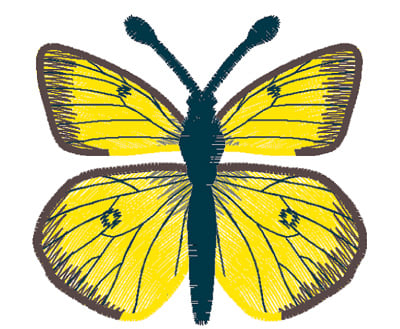 Embroidery Design: Butterfly Clouded Sulphur large<br>4.67w X 2.53h