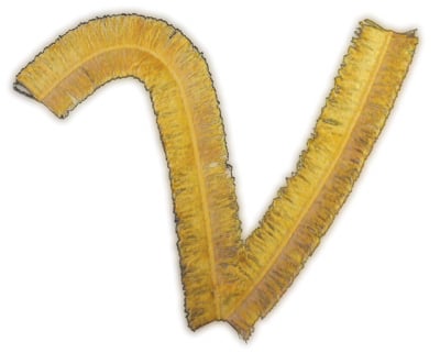 Embroidery Design: Script Fringe Letter V<br>5.63" x 4.57"