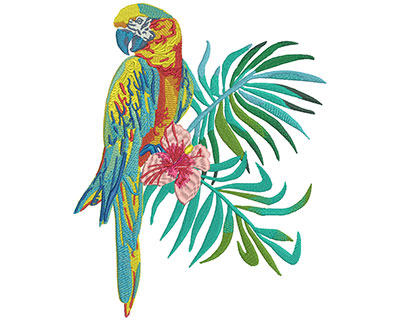 Embroidery Design: Macaw Large9.70H x 7.80W
