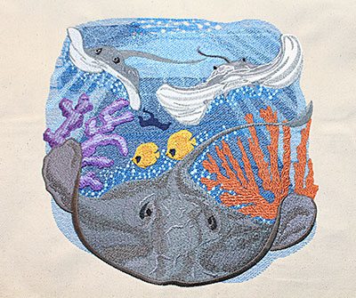 stingray scene