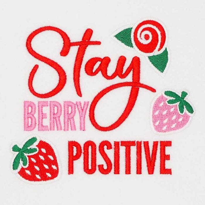 SD_SF_11 | Embroidery Legacy stay positive embroidery design