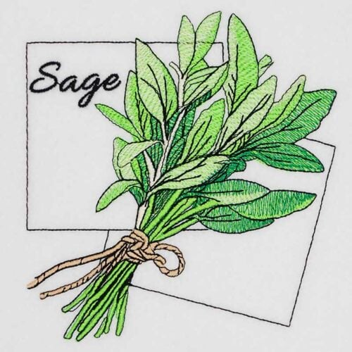 EL-Kitchen-Herbs-Sage | Embroidery Legacy Kitchen Herbs Sage embroidery design