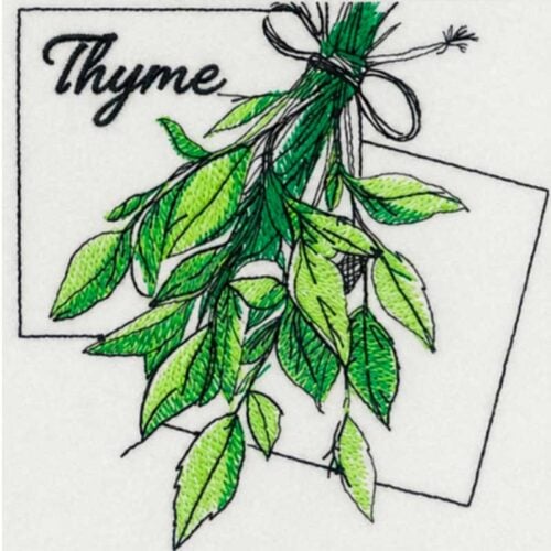 EL-Kitchen-Herbs-Thyme | Embroidery Legacy Illustration of fresh thyme sprigs bound with twine, with a label reading 'Thyme' on a white background.